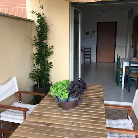 Casa Gorilla Daire *