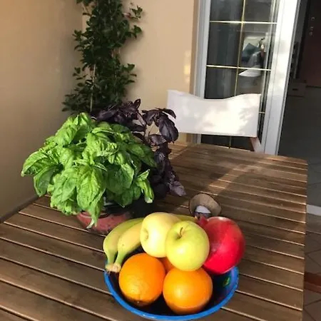 Daire Casa Gorilla *